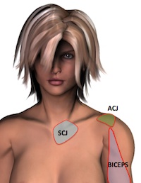 Shoulder Pain ShoulderDoc Shoulder Pain ShoulderDoc